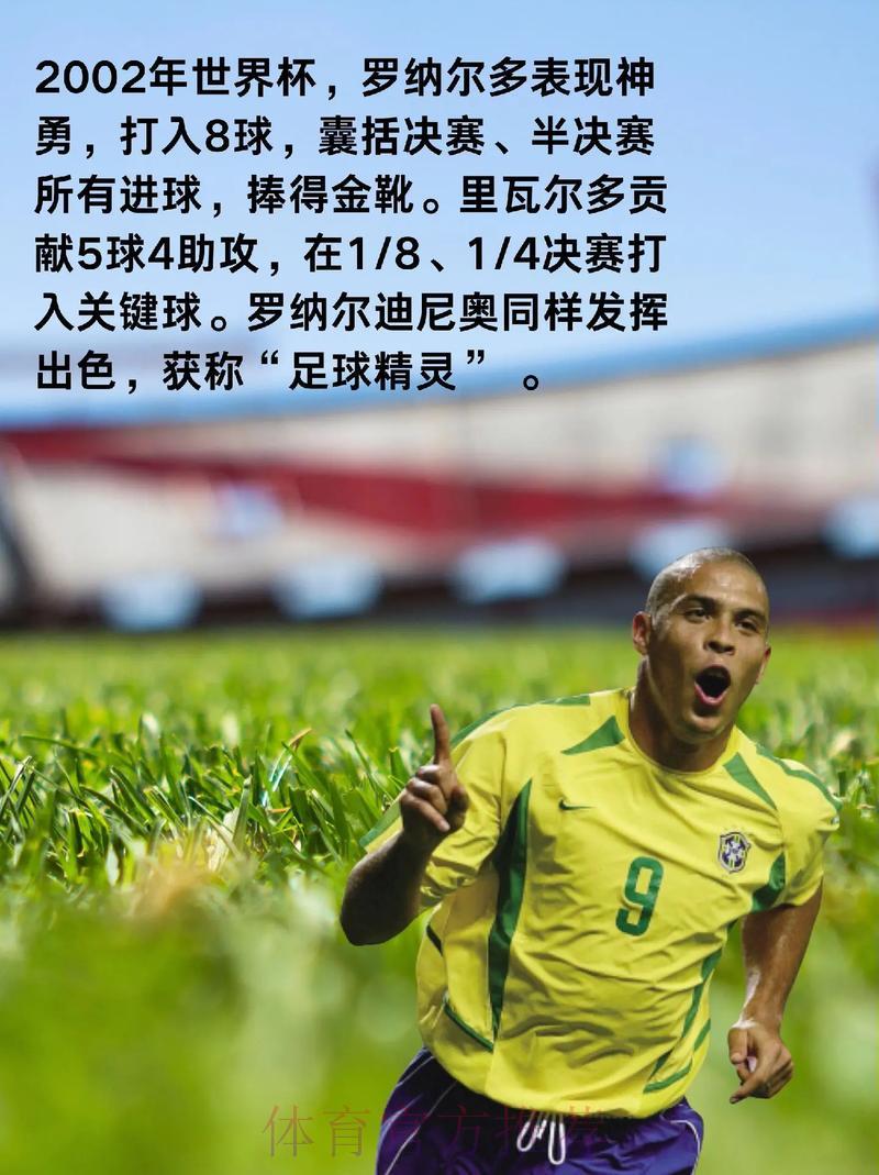 深度剖析世界杯各球队数据全景报告